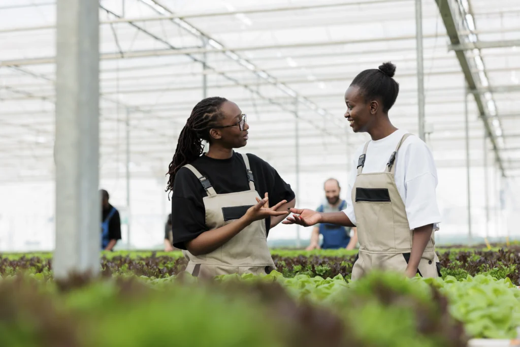 Serava Lifesciences Group farm workers in a modern greenhouse discussing sustainable lettuce farming solutions in Kenya.