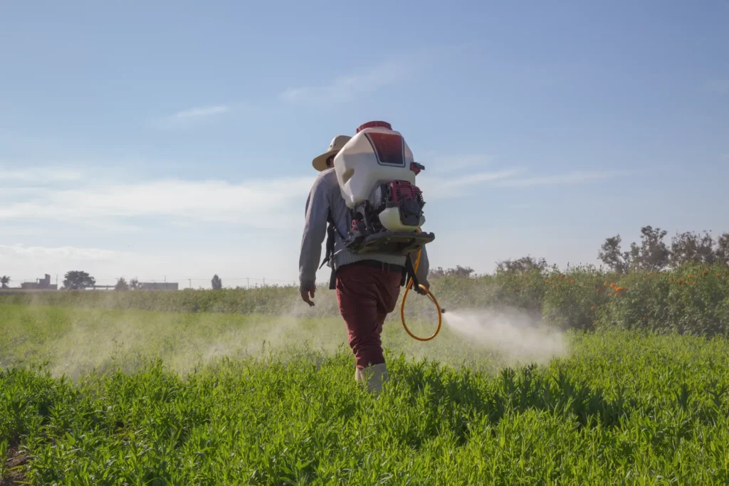 A farmer wearing a backpack mist-blower applying Serava crop protection products across a lush green field in Africa, protecting the crop from pests, weeds and disease.