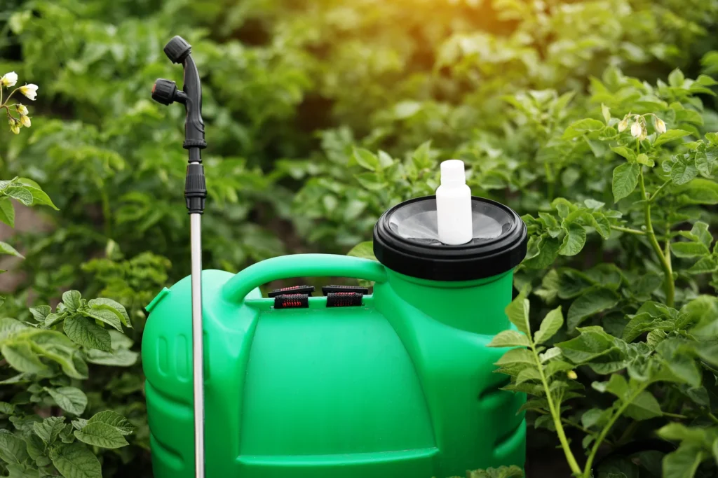 A green Serava knapsack sprayer standing among leafy crop plants in the field, representing Serava's range of application and spray equipment for farmers.
